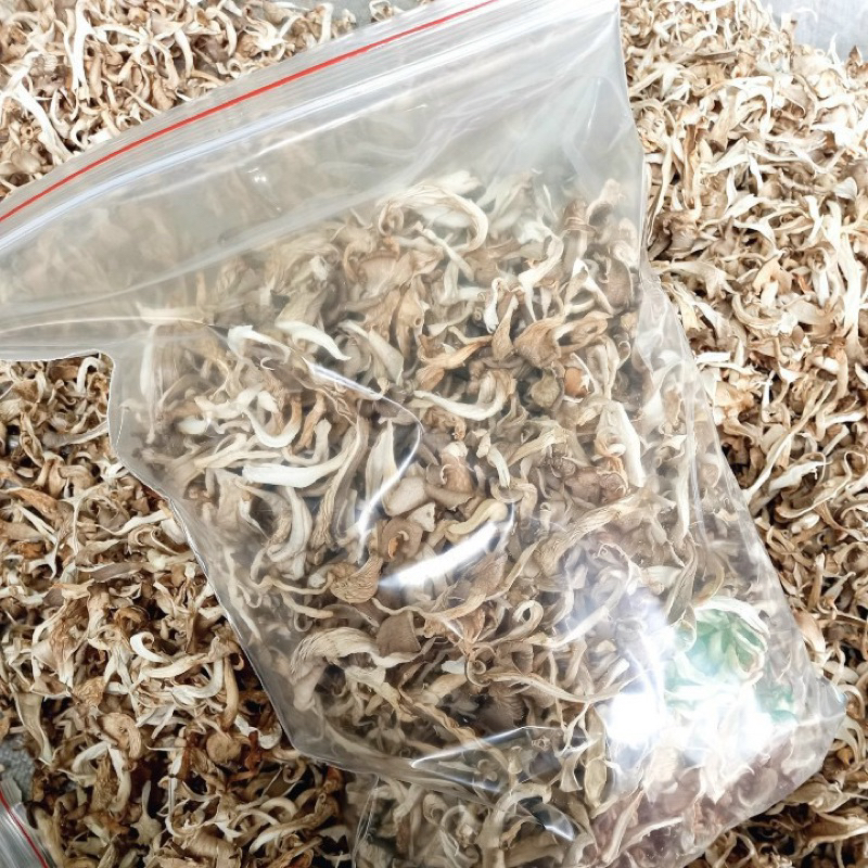 500G NẤM BÀO NGƯ XÁM KHÔ  HSD 6 THÁNG