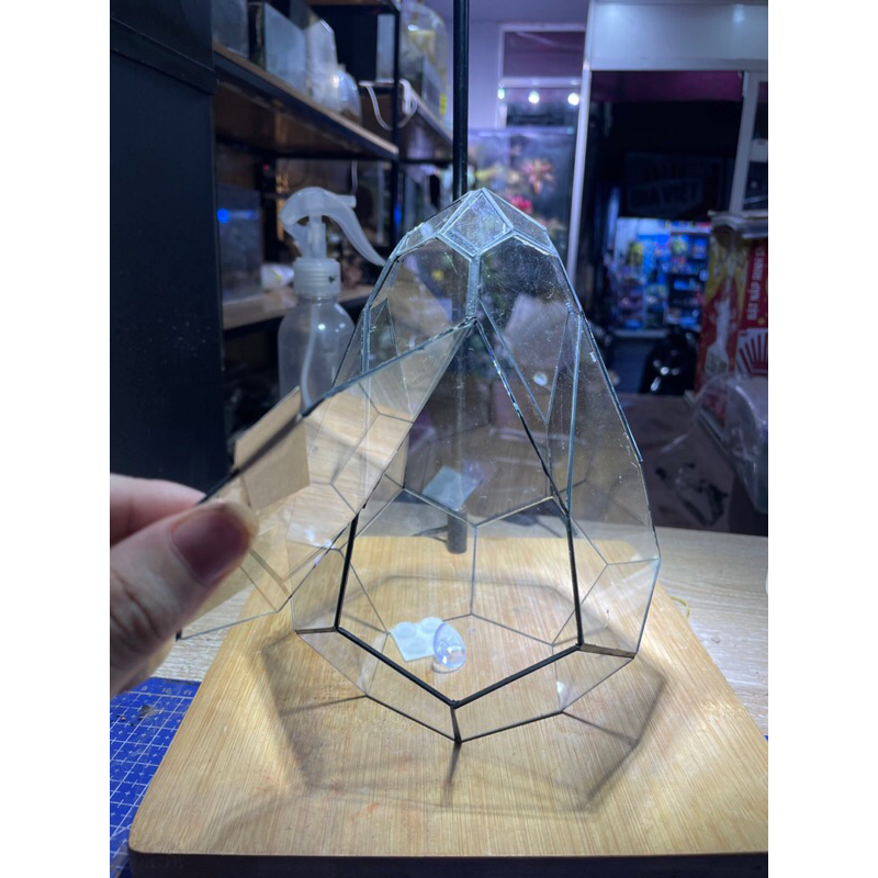 Bể kính terrarium trứng mini , dễ trang trí