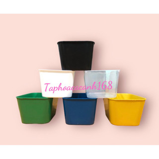 Thùng nhựa - khay nhựa nuôi cá 7 lít 30x22x16cm