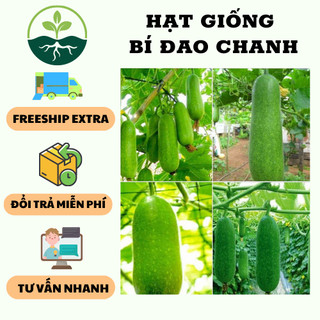 Hạt Giống Bí Đao Chanh Lai F1 Dễ Trồng, Siêu Trái { gói 10 hạt }