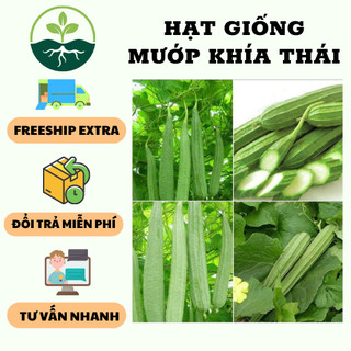 Hạt giống mướp khía thái lan f1