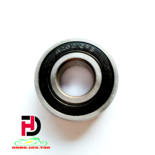 BẠC ĐẠN 6202-2RS