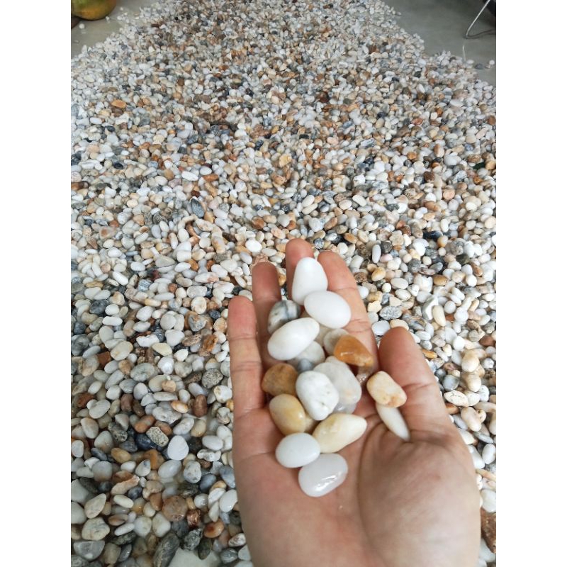 COMBO CỜ Ô QUAN VÀ CỜ CA RÔ