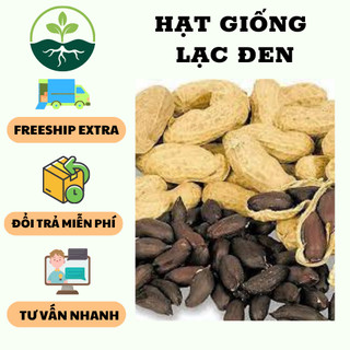 Hạt giống lạc đen KOKUMA -nhập khẩu Đài Loan {15gr/gói }