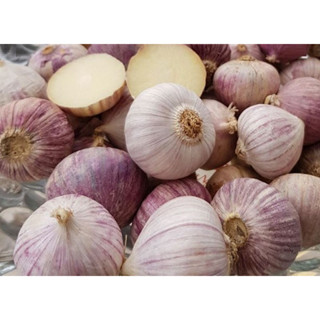 Tỏi Cô Đơn Loại Ngon Đặc Sản Tây Bắc