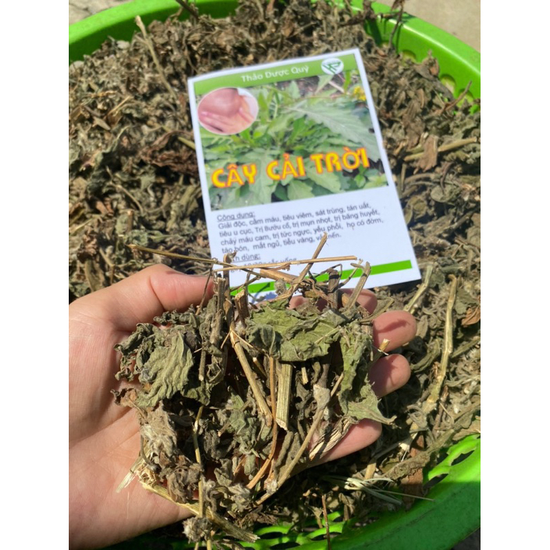 1kg cây cải trời ( hàng luôn mới)