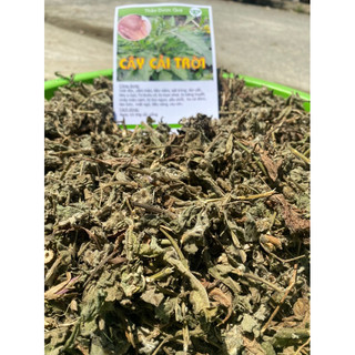 1kg cây cải trời ( hàng luôn mới)