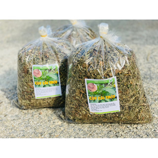 1kg cây cải trời ( hàng luôn mới)