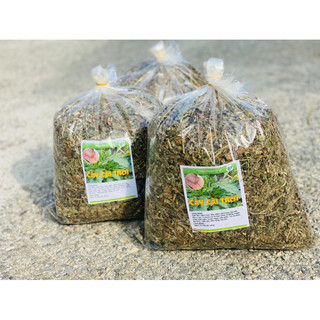 1kg cây cải trời ( hàng luôn mới)