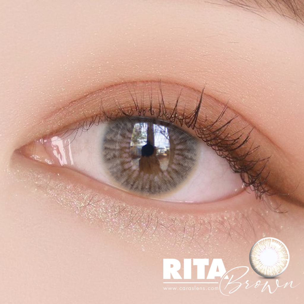 Kính áp tròng, Lens 1 ngày RITA màu Brown, Gold  - CARASE