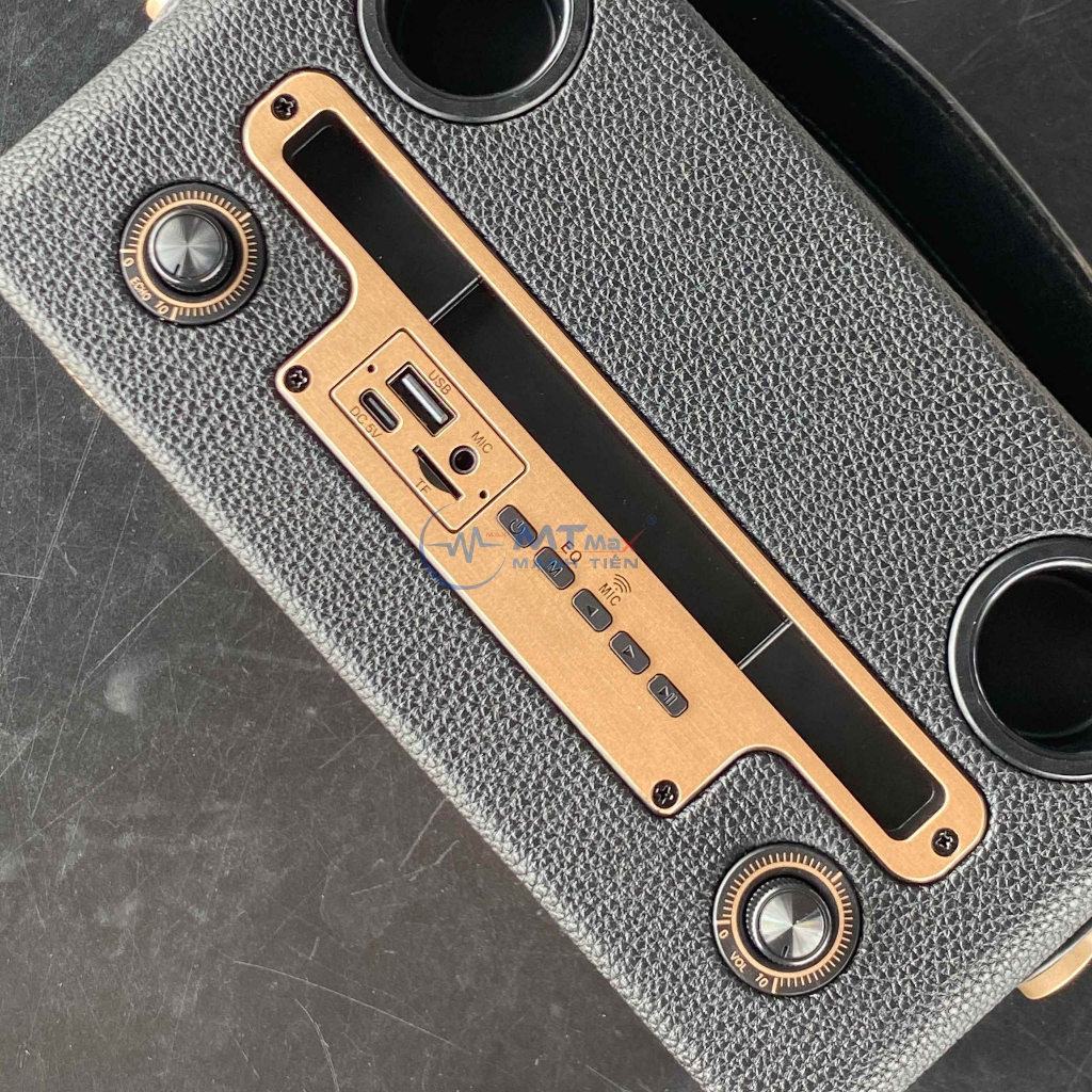 Loa Bluetooth Karaoke TW328 – Loa Xách Tay Kèm 2 Micro Không Dây Sang Trọng