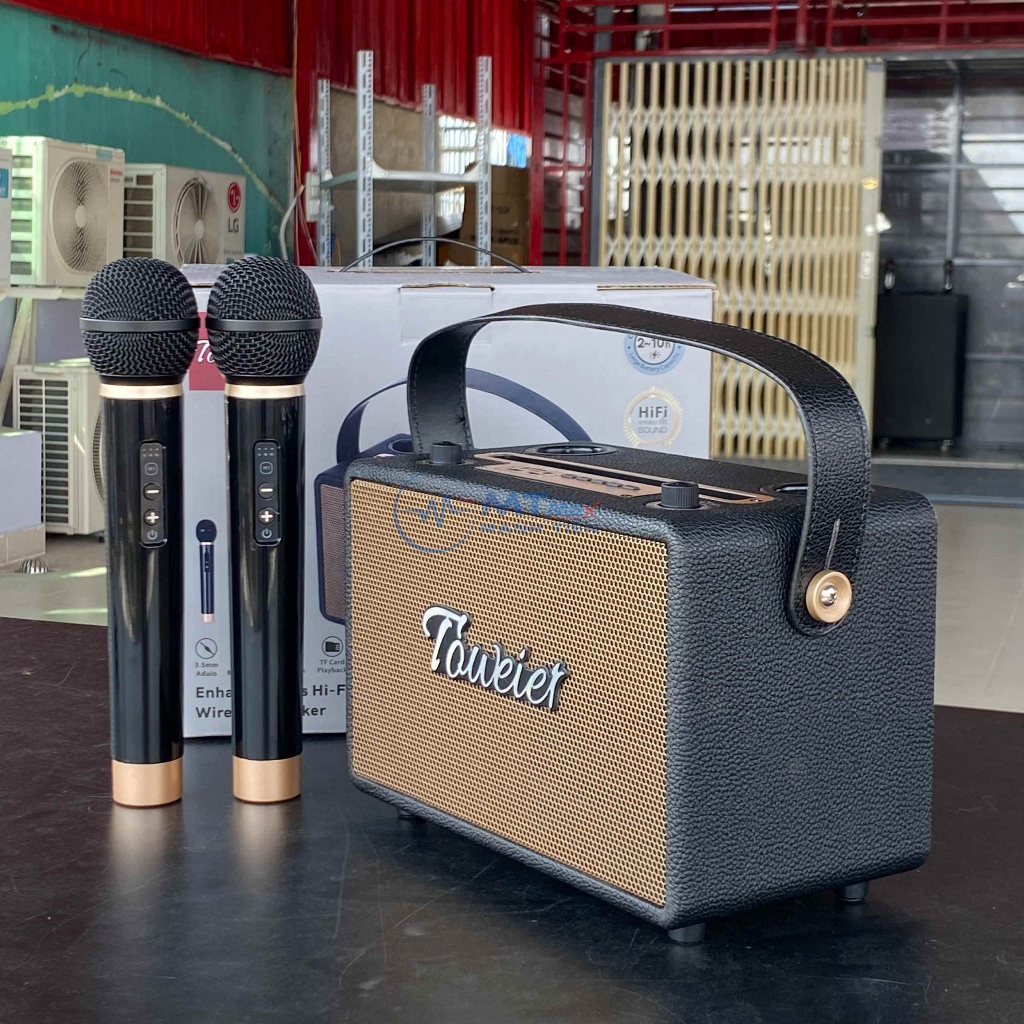 Loa Bluetooth Karaoke TW328 – Loa Xách Tay Kèm 2 Micro Không Dây Sang Trọng
