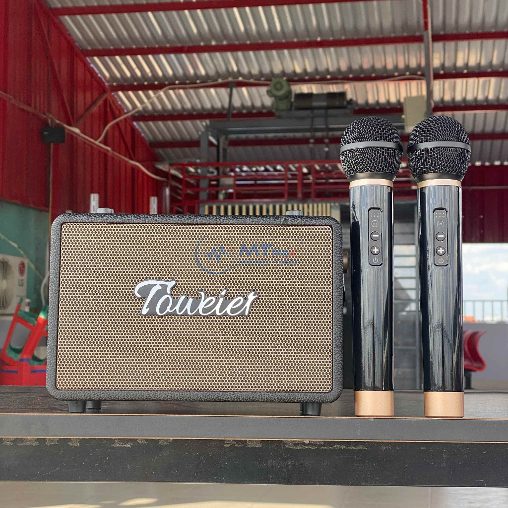 Loa Bluetooth Karaoke TW328 – Loa Xách Tay Kèm 2 Micro Không Dây Sang Trọng