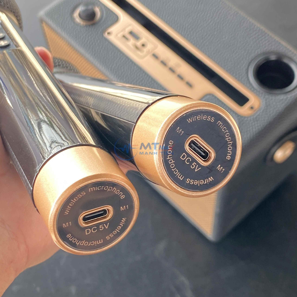 Loa Bluetooth Karaoke TW328 – Loa Xách Tay Kèm 2 Micro Không Dây Sang Trọng