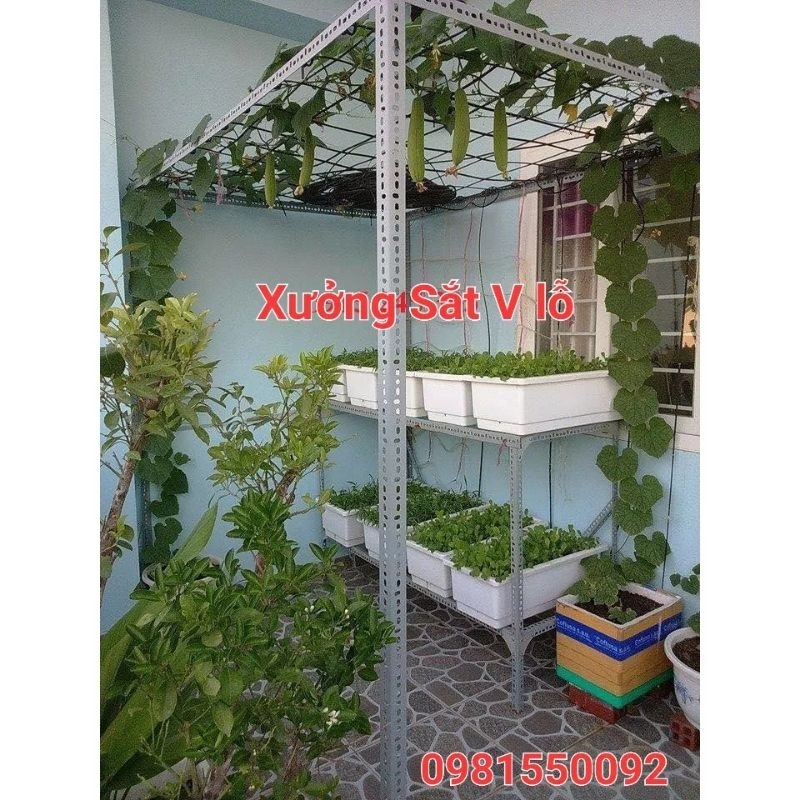 khung trồng bầu bí (C2m x R1.3m x Dài 2m)