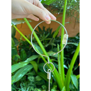 Xích chân cho Vẹt (loại A)