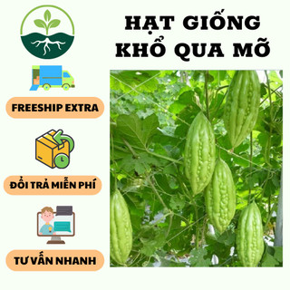 Hạt giống Khổ Qua Mỡ ( Mướp Đắng) F1 {gói 10 hạt }