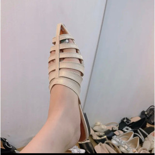 sục mũi nhọn rọ siêu xinh