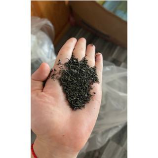 NGỌN TRÀ ÓC TRÀ LONG VÂN(100G-500G)