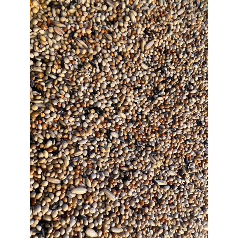 Combo 5kg 10kg hạt trộn Deli Bỉ cho chim 7 màu, finch, thạch yến