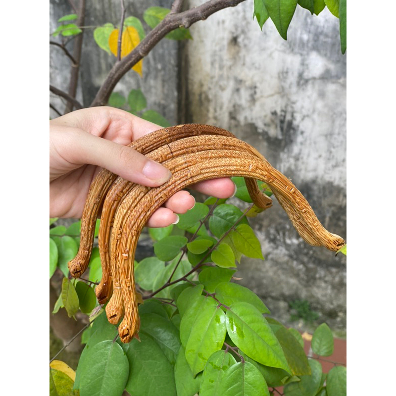 Cầu góc triện T 2 mặt hàng Vip