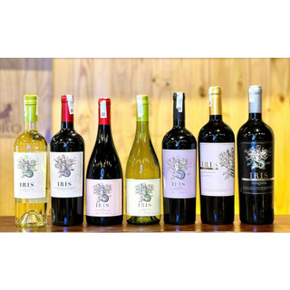 Rượu vang Chile Iris Chardonnay nhập khẩu