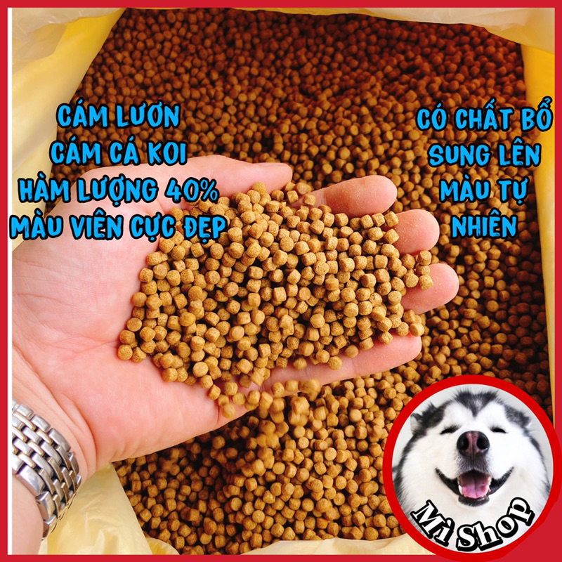 Cám cá Koi, lươn 40% đạm - Tăng trưởng nhanh, tạo màu tự nhiên, màu viên cực đẹp Cl01 lái thiêu