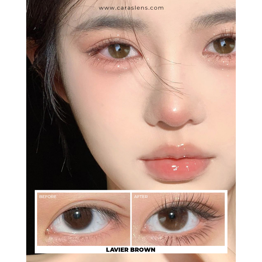 Kính áp tròng, Lens 1 ngày LAVIER màu Brown, Choco  - CARASE