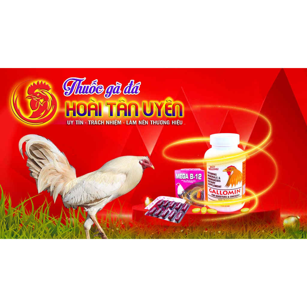 B15 & B12 NEW tăng cơ bắp, nước máu bóng lông, đá bo lớn hàm lượng nhân đôi dành cho chiến kê