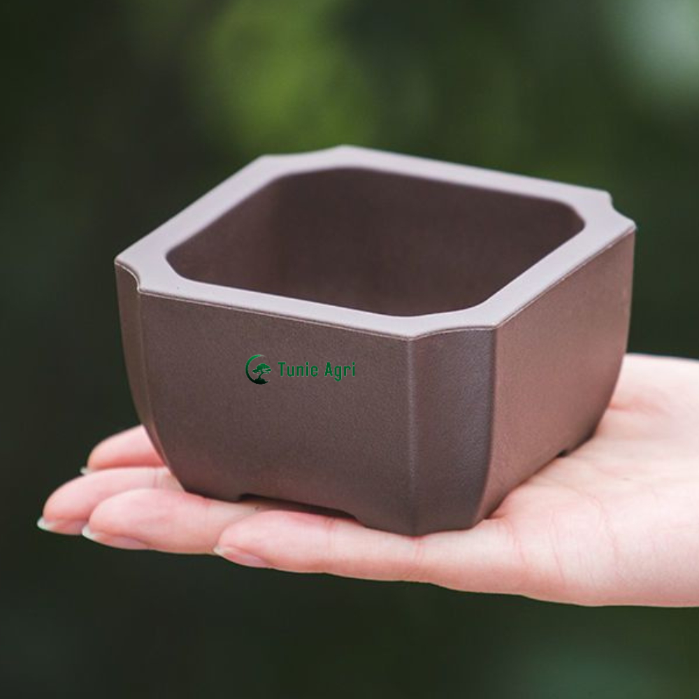 Chậu nhựa mini màu tử sa 9*9*5cm