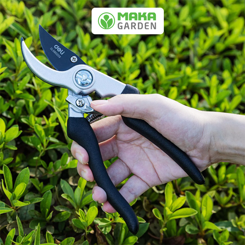 Kéo cắt tỉa cành cây DL580203 - Hàng DELI chất lượng cao