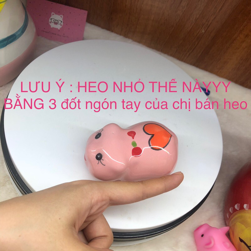 Heo sứ mini nằm decor , trang trí học tập mẫu nhỏ nhất màu đẹp mắt