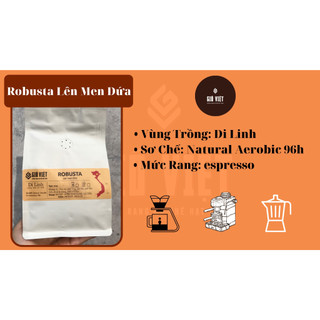 Robusta lên men dứa - vùng di linh- làng việt sơ chế