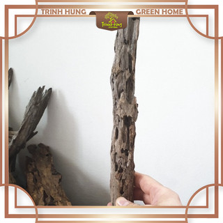 Gỗ lũa san đá thẳng sl 1kg