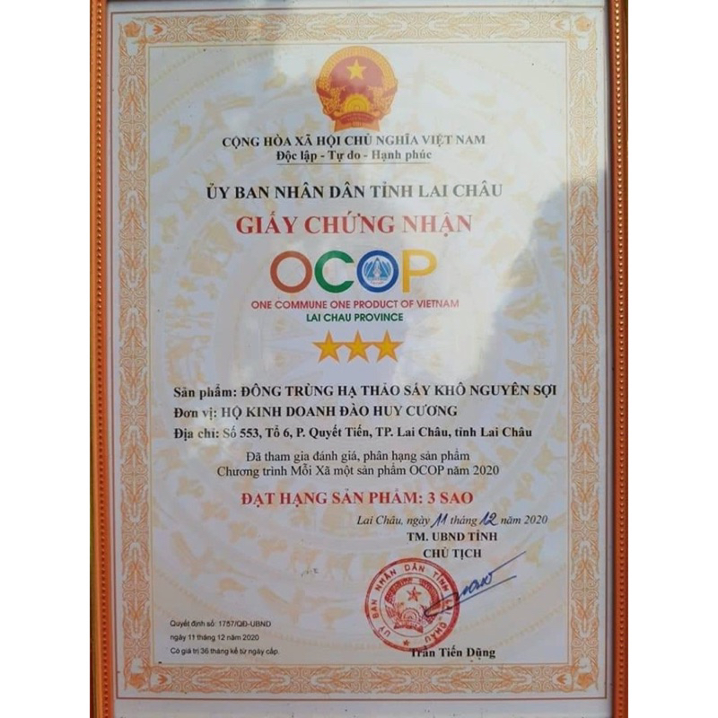 ĐÔNG TRÙNG HẠ THẢO SẤY THĂNG HOA CAO CẤP LOẠI GẪY