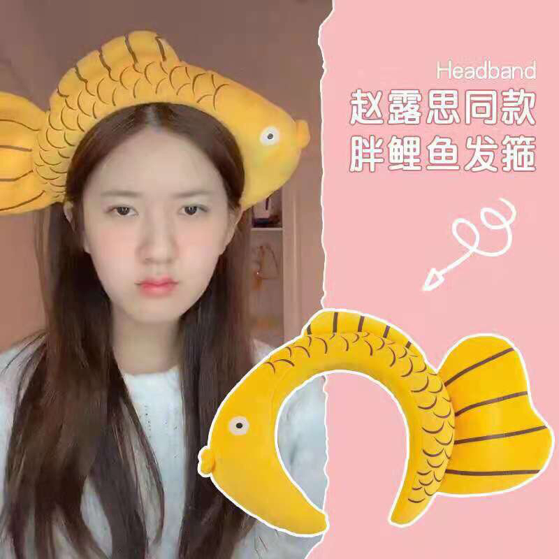 BỜM TÓC, BĂNG ĐÔ CÁ MẬP, CÁ VÀNG