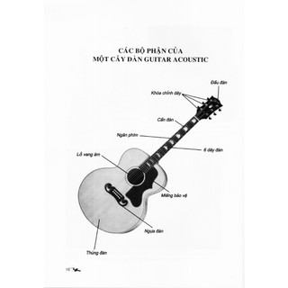 Sách - 30 Ngày Biết Đàn Guitar