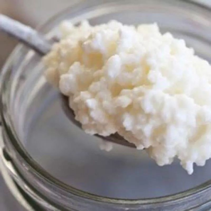 ComBo Nấm Sữa Kefir + Rây Nhựa + Thìa Gỗ