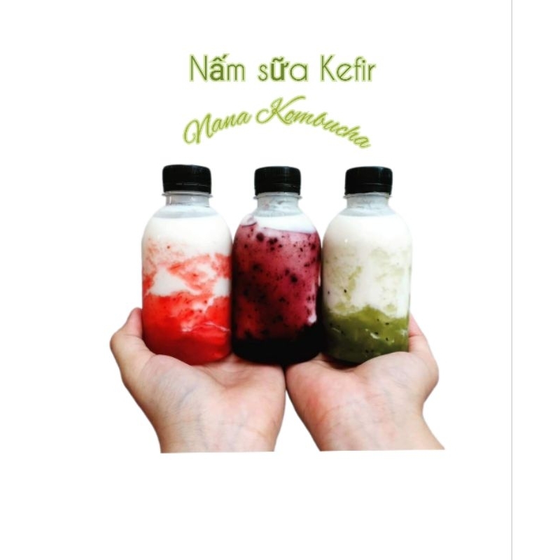 ComBo Nấm Sữa Kefir + Rây Nhựa + Thìa Gỗ