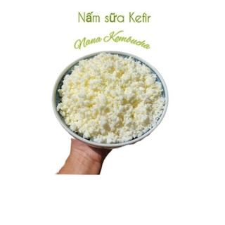 ComBo Nấm Sữa Kefir + Rây Nhựa + Thìa Gỗ < Tặng Khăn Xô>