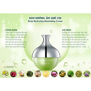 Kem dưỡng ẩm Quế Chi 50g Dimanlaier -