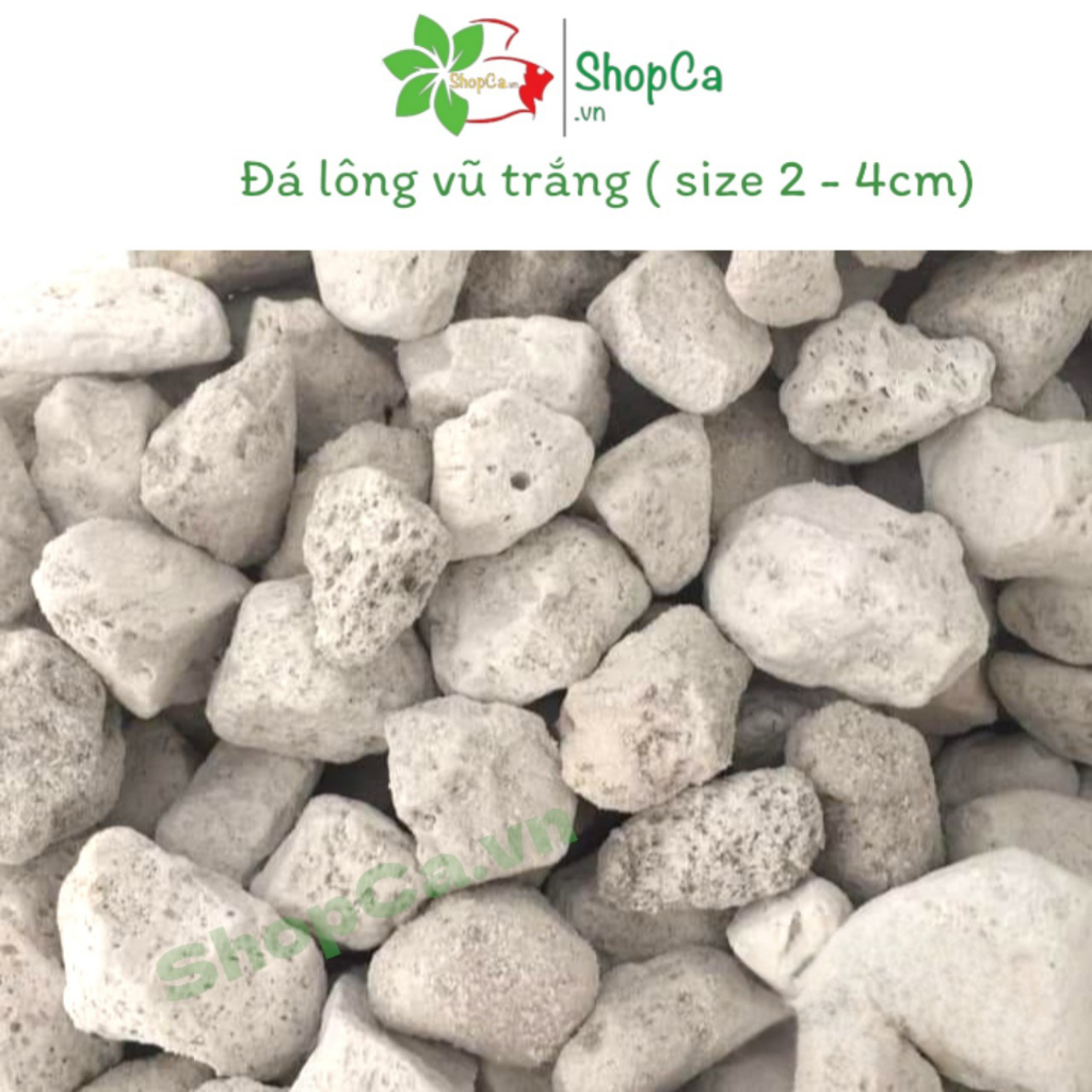 Đá lông vũ nham thạch trắng vật liệu lọc hồ cá size 2 đến 4 cm  dùng để lọc nước cho bể cá cảnh, hồ Koi.