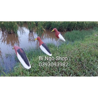 Combo 3 con cò mã xốp