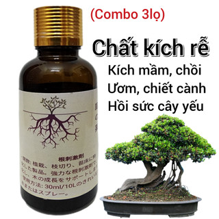 Chất kích rễ cây Nhật Bản combo 3 lọ, chiết cành, ươm cành, kích rễ phôi cây cảnh, hồi sức cây yếu, cân bằng dinh dưỡng.