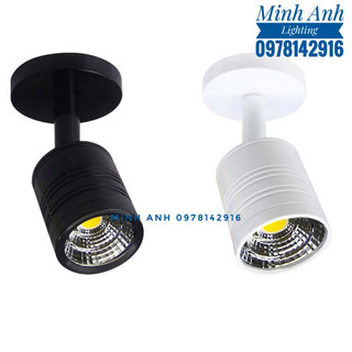 Đèn Rọi Tranh LED 5w Chiếu Điểm Gắn Tường RO5 Minh Anh