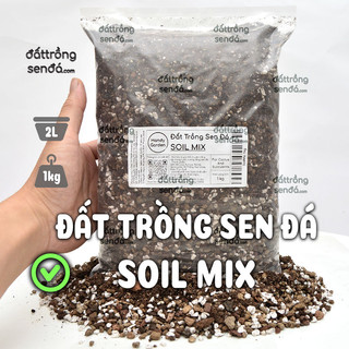 1kg soil mix đất trồng sen đá xương rồng giá tiết kiệm
