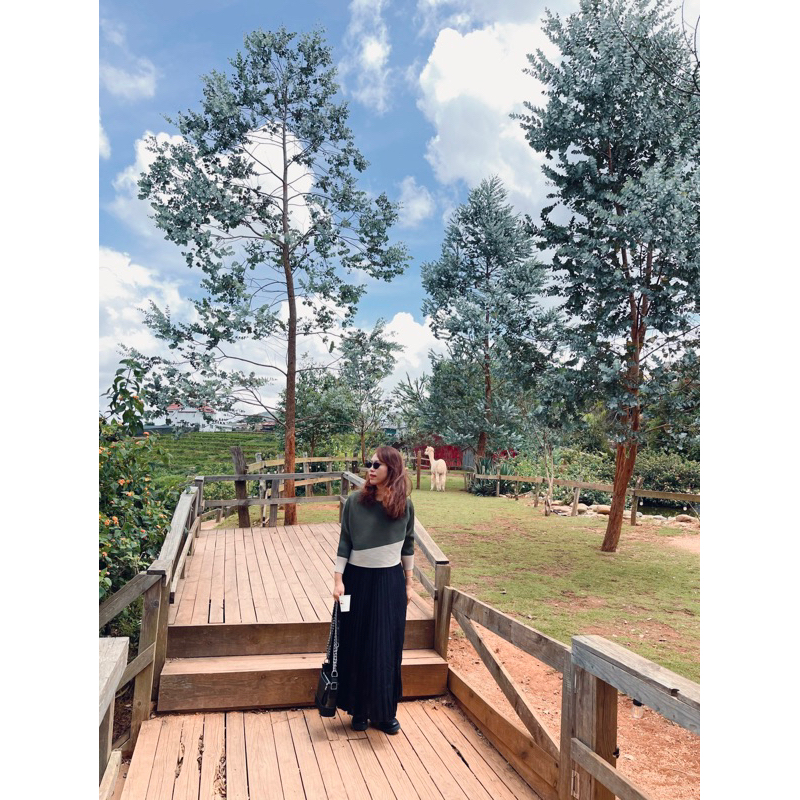 (HÀNG SẴN) Áo thun lò xo dáng croptop tay lỡ, Áo cổ tròn form ngắn trẻ trung