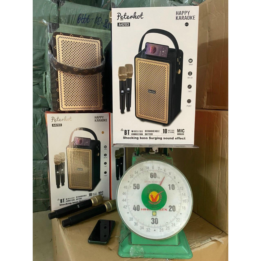 Loa Bluetooth karaoke 4203 Bass mạnh treble rời âm thanh đỉnh cao BH 12 tháng hàng chính hãng