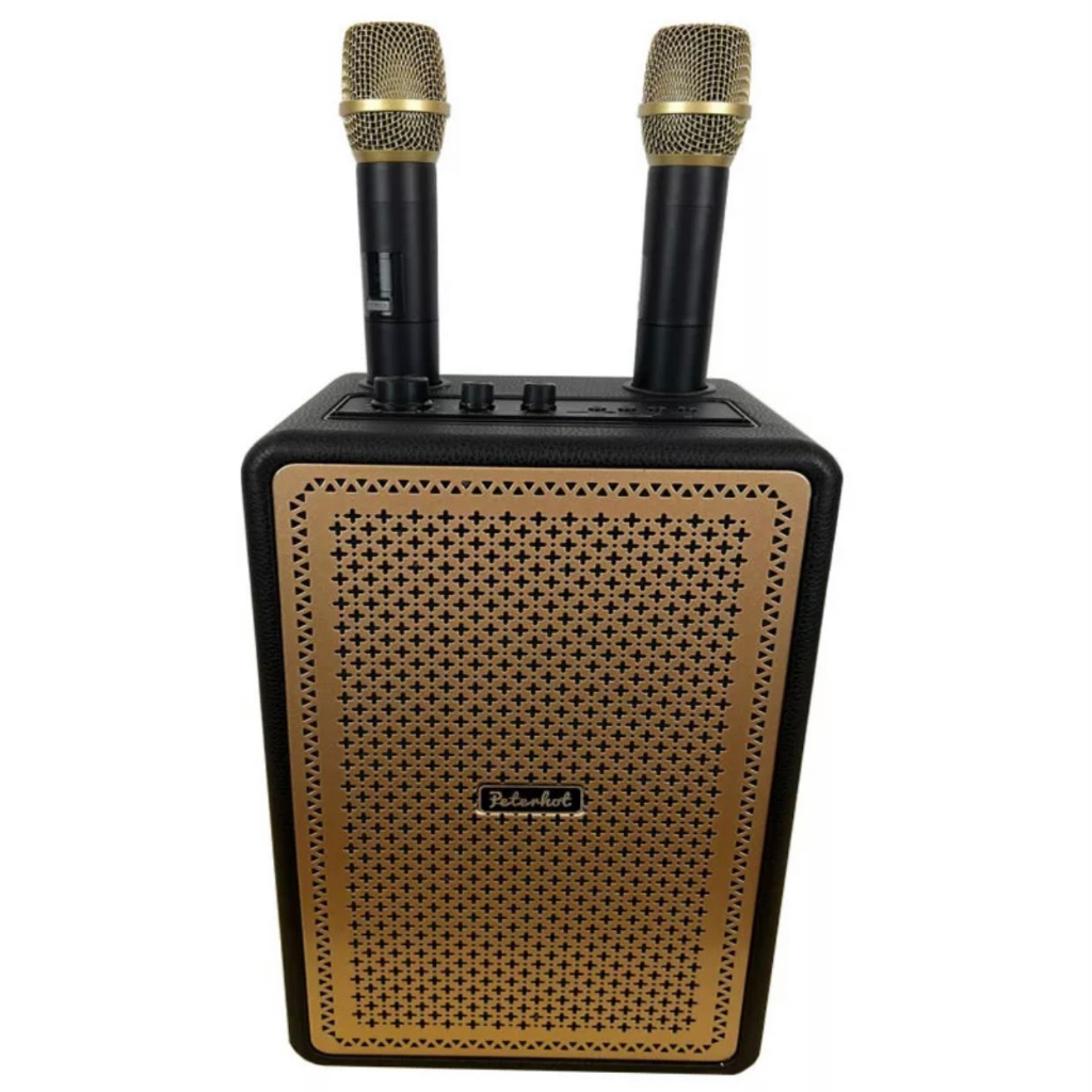 Loa Bluetooth karaoke 4203 Bass mạnh treble rời âm thanh đỉnh cao BH 12 tháng hàng chính hãng