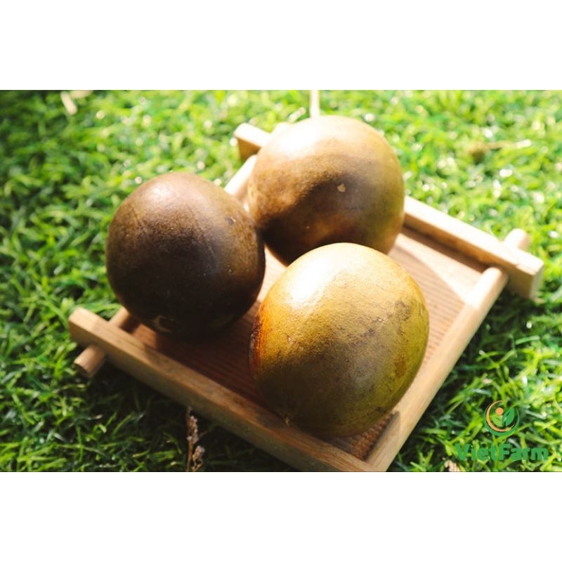 1 Quả la hán khô to, già, ngọt giải độc thanh mát